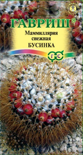 Бусинка маммиллярия Ц(Г)