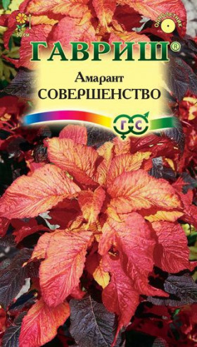 Совершенство трехцветный Ц(Г)