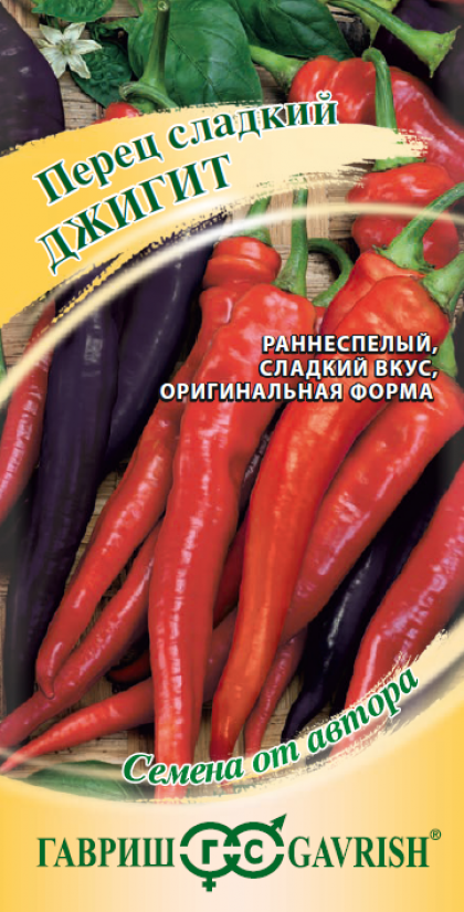 Джигит Ц(Г)