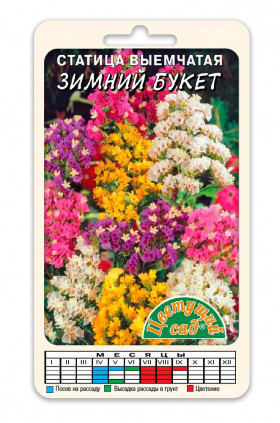 Зимний букет /Цветущий Сад