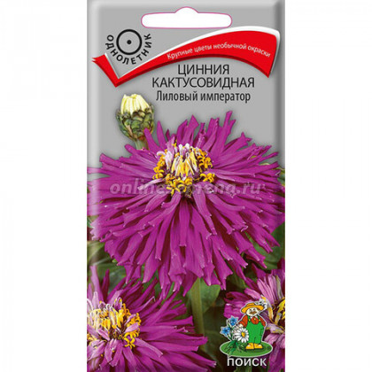 Лиловый император /Цветущий Сад