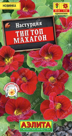 Тип Топ махагон Ц(А)