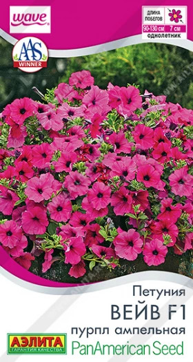 Вейв пурпл ампельная Ц(А)
