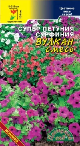 Сурфиния Вулкан смесь/Цветущий Сад