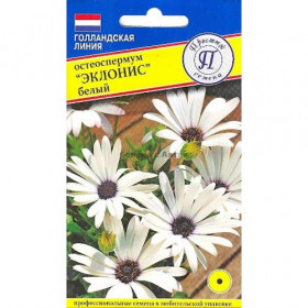 Эклонис белый Ц(П)