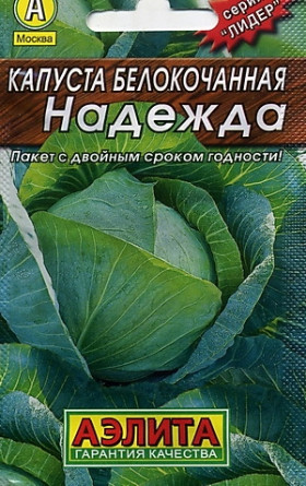 Надежда Лидер