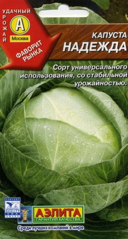 Капуста надежда фото описание