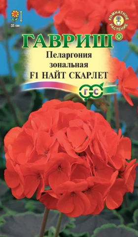Найт Скарлет Ц(Г)