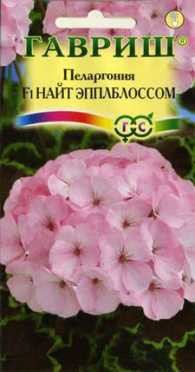 Найт Эплблоссом Ц(Г)