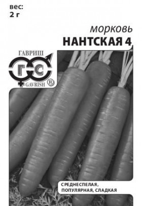 Нантская 4 2гр.Б(Г)