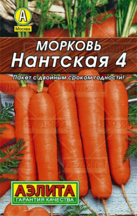 Нантская 4 Лидер