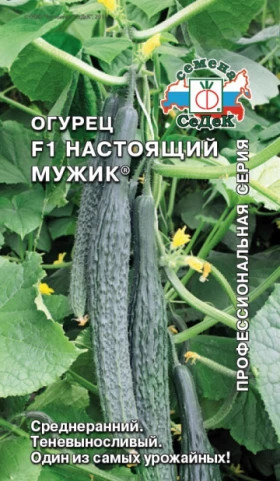 Настоящий мужик Ц(С)