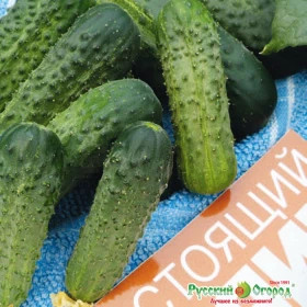 Настоящий хозяин Ц(Н)