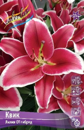 Коммитмент 12/14 (вост) 5шт