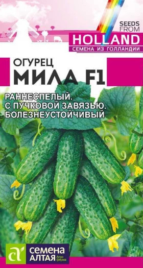 Мила Ц(Алт)