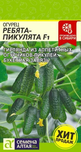 Ребята Пикулята Ц(Алт)