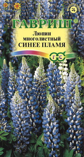 Синее пламя Ц(Г)