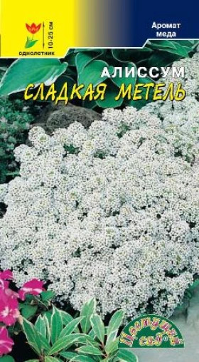 Сладкая метель/Цветущий Сад