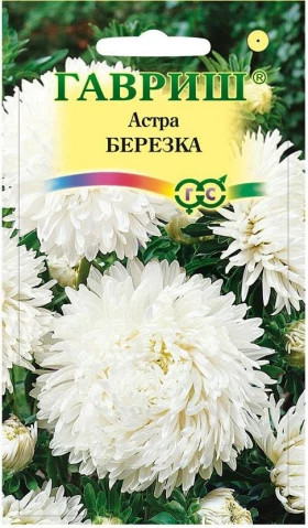 Березка  Ц(Г)