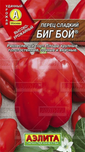 Биг Бой Ц(А)