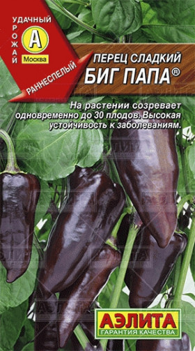 Биг папа Ц(А)