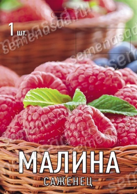 Новость Кузьмина 1шт Поиск