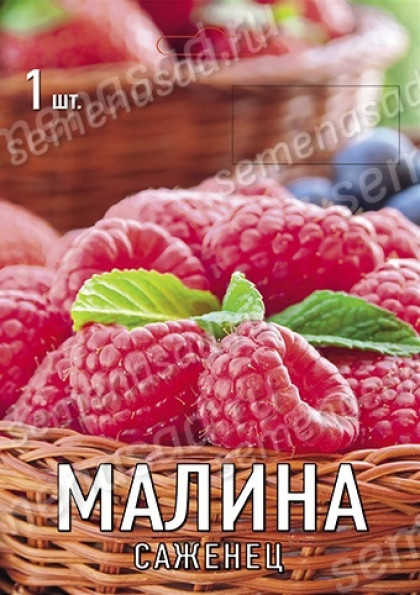 Новость Кузьмина 1шт Поиск