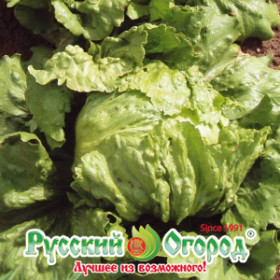 Айсберг Грейт Лайкс 659 1гр.Ц(Н)