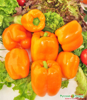 Гренада сладкий  12шт Ц(Н)