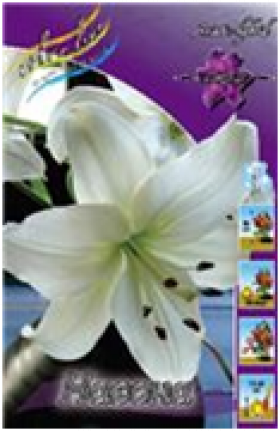 Навонна (азиат) 7шт