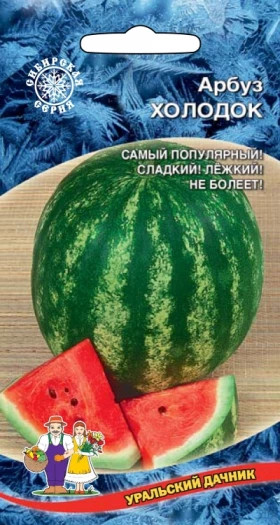 Холодок Ц(УД)