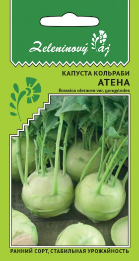 кольраби Атена (овощной рай) Ц(УД)
