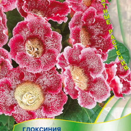 Импресс Красные чернила Ц(Поиск)