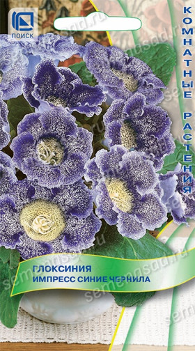 Импресс Синие чернила Ц(Поиск)