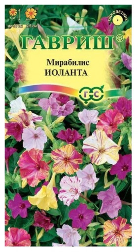 Иоланта Ц(Г)