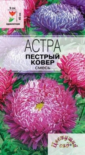 Пестрый ковер смесь Цветущий Сад