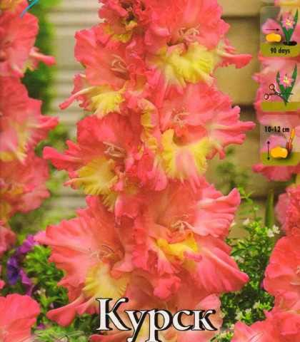 Курск 7шт