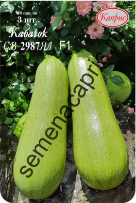 Кабачок СВ 2987 ЯЛ Каприс