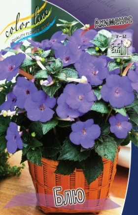 Блю (4 ризомы, пласт.бан.) 1шт