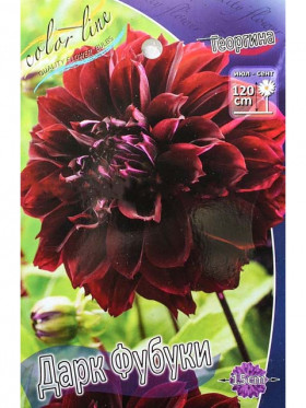 Дарк Фубуки 1шт