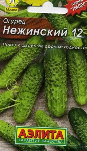 Нежинский Лидер