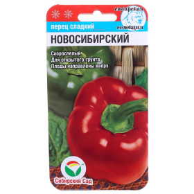 Новосибирский СС