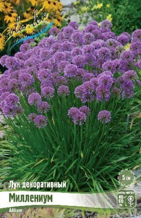 Миллениум 1шт
