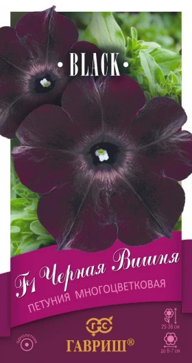 Черная вишня Ц(Г)