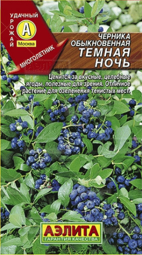 черника Темная ночь обыкновенная Ц(А)