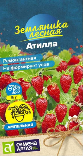 Атилла ремонтантная 0,03гр. Ц(Алт)