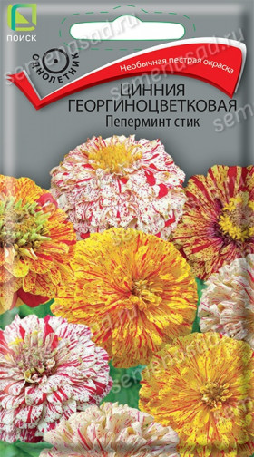 Пеперминт стик Ц(Поиск)