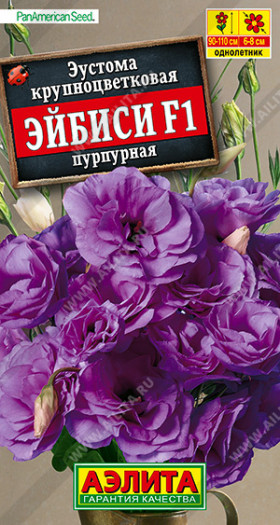 Эйбиси пурпурная махр крупноцв Ц(А)