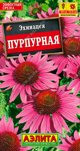 Пурпурная Ц(А) эхинацея