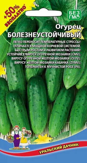 Болезнеустойчивый Ц(УД) +50% бесплатно